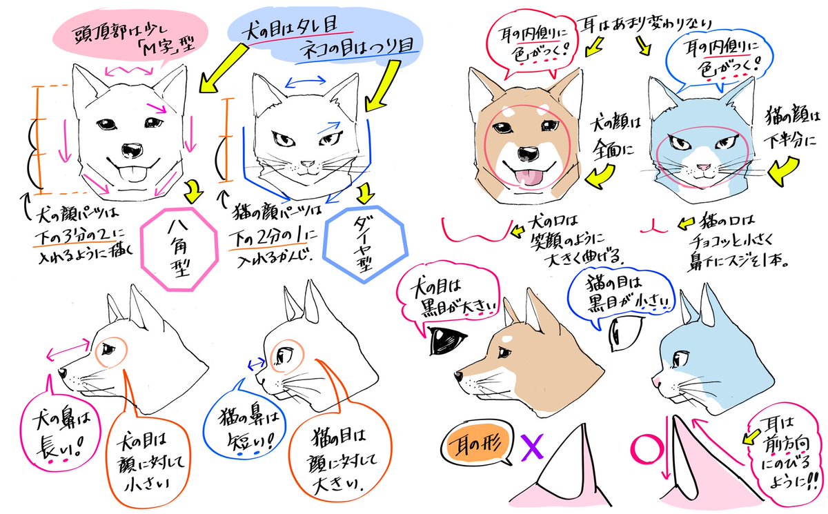 絵柄 画力 動物 モンスターまとめ 随時更新 Togetter