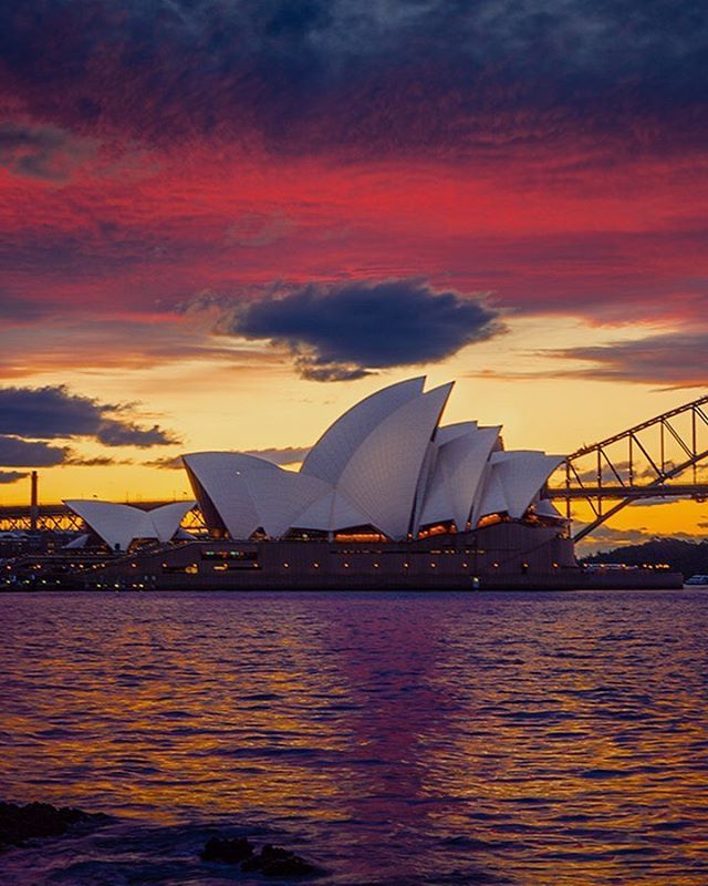 heredownunder tweet media