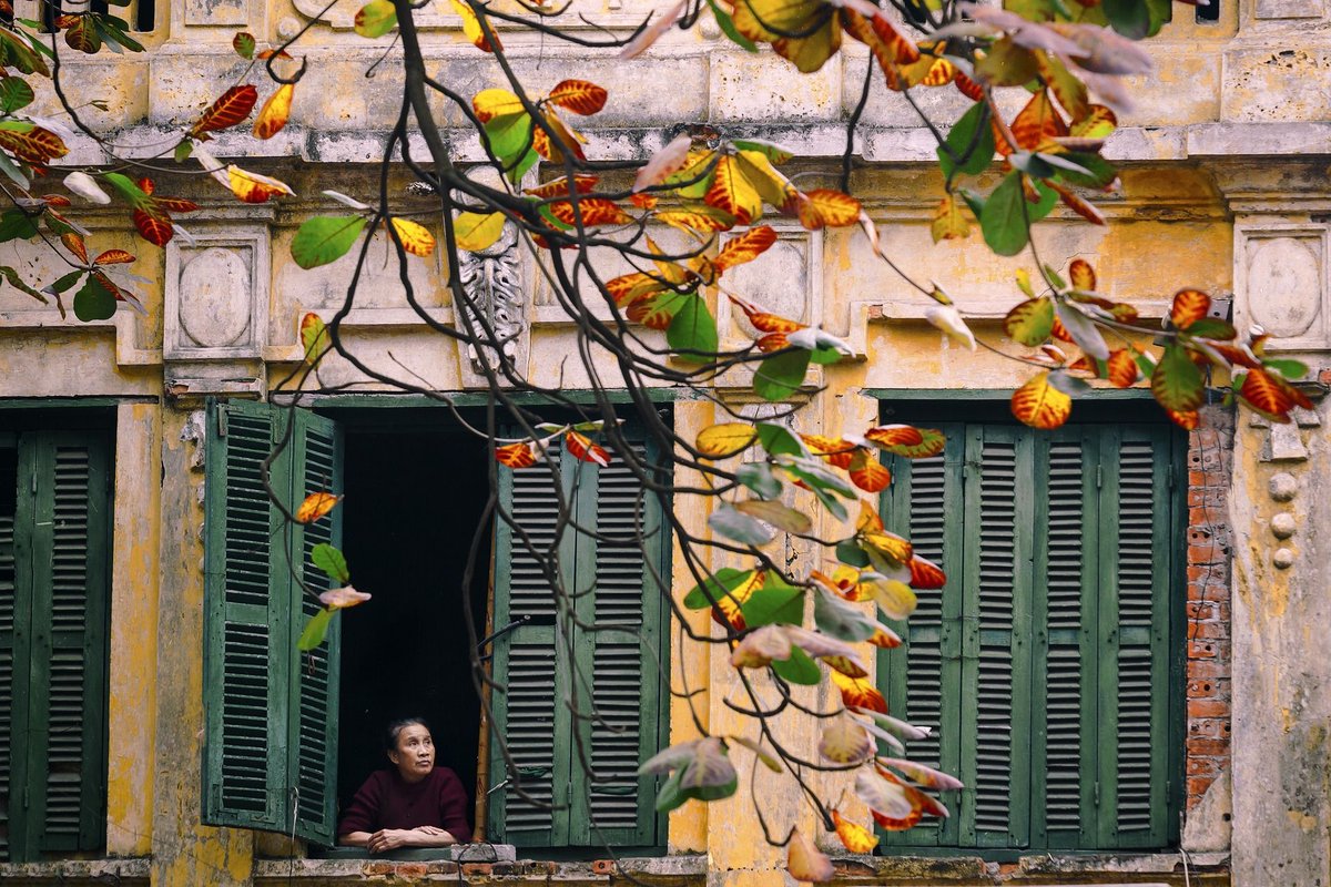 Ruesdasie's tweet photo. #HANOI 

L'automne arrive à Hanoi, la saison parfaite pour découvrir les rues de la ville sous un tapis de fleurs jaunes et parfumées de fleurs de lait ! 

On vous emmène pour une balade pleine de romantisme par ici ➡️ https://t.co/2oYE1VB0BF https://t.co/iKvTC9Q2Ft