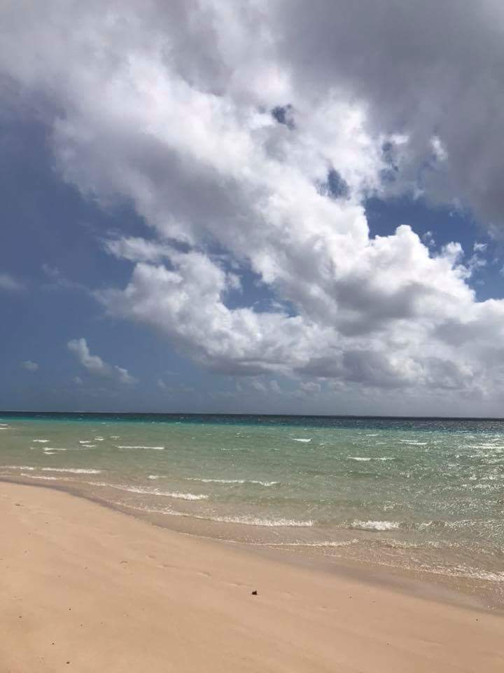 greenprojectorg's tweet image. #CoralBay, #Ningaloo #MarinePark. #whales, #dugongs, #mantarays, huge cod, #turtles and #whalesharks are abundant at #WorldHeritage listed  Ningalou Reef. The #GovernmentofWesternAustralia recognises and acknowledges #Baiyunga and #Jinigudira people as the Traditional custodians.
