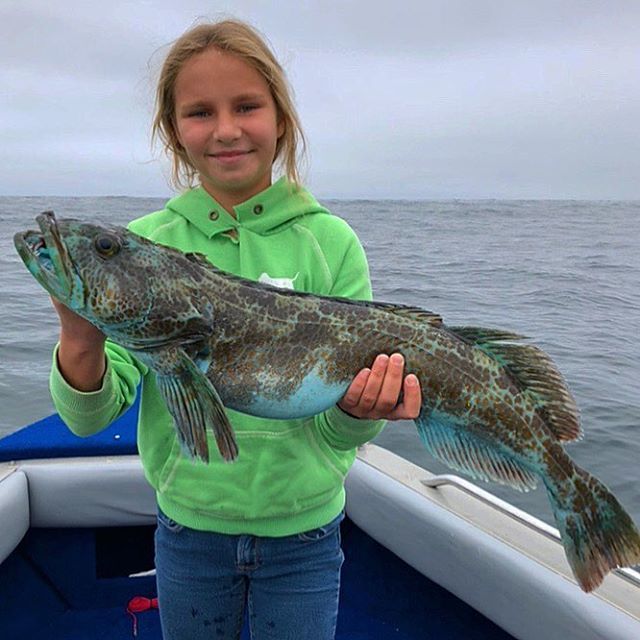 thefishsniffer's tweet photo. Victorya Tkachuk poses with a beauiful lingcod she landed last weekend while fishing with her brother Maksim. #lingcod #lingcodfishing #fishing #kidsfishtoo #takeakidfishing #fishsniffer #angler #kidangler #saltlife #saltwaterfishing #outdoors #california https://t.co/Masl2SDcEj