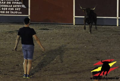 guscr15's tweet photo. A por Septiembre recordando, Noches ejemplares como la de Villaconejos con 4 Vacones de Corro! #quiebro #aficion #respeto #machancoses https://t.co/hZGOdzAnd6