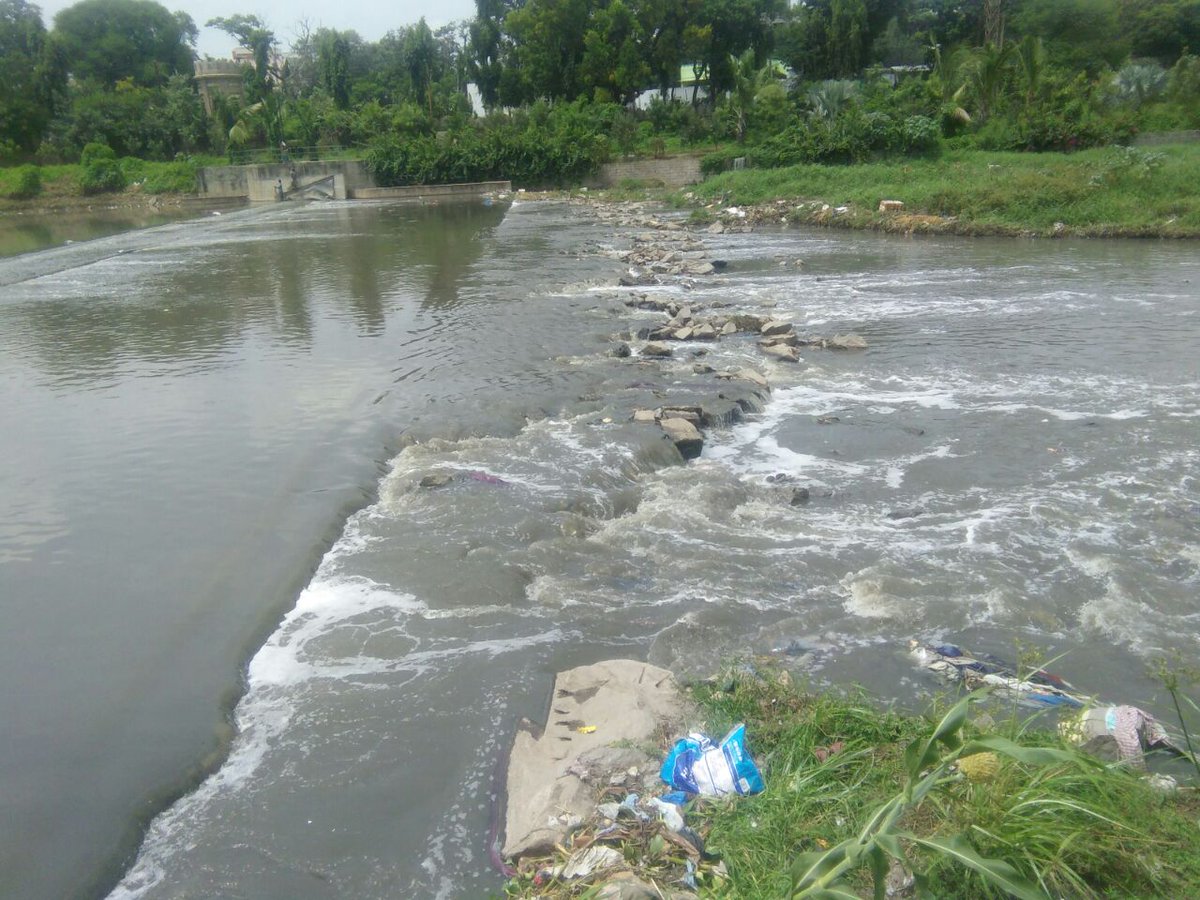 kz_senior's tweet photo. @ChiefEntomolgst special drive cleaning  work continued 4th day in musy river at opp High court for removing water hyacinth, edge cleaning and spraying. https://t.co/PrBQZ48t5Q