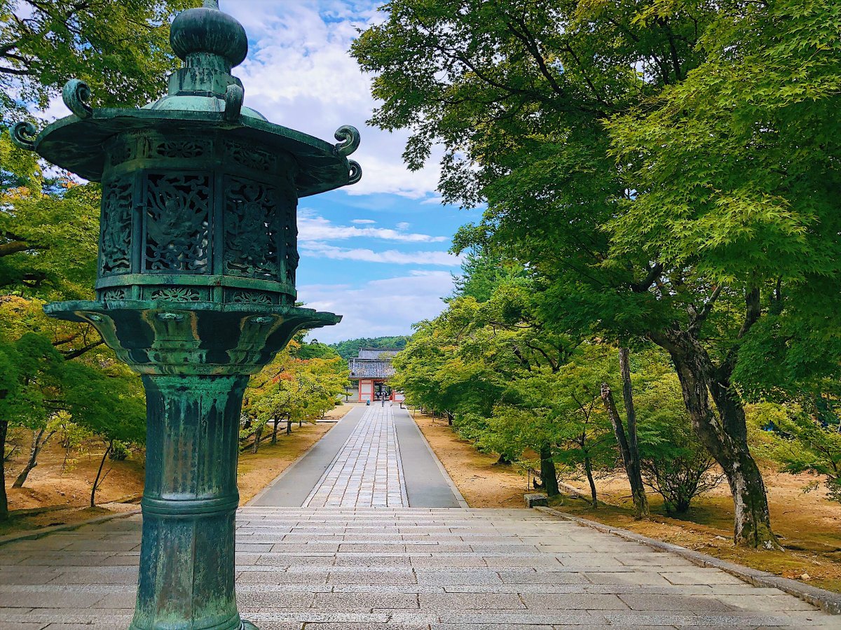 yusukeem930's tweet photo. 京都 仁和寺/Kyoto Ninna-ji Temple

The approach in Ninna-ji Temple.

仁和寺の参道。奥に見えるのは重要文化財の中門。

#kyotojapan🇯🇵 #japankyoto #kyotoview #kyotolover #kyotolovers #kyototravels #kyōto #kyotocity #kyotolandscape #ninnajitemple #ninnaji https://t.co/g8PfEUDPdH