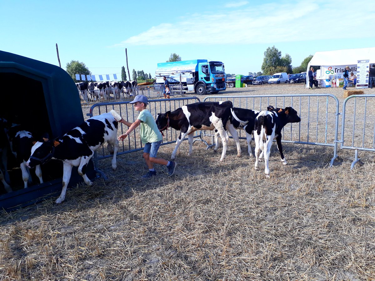 Flore352's tweet photo. C'est la saison des comices ! 🐄🐖🐐🌱#vivelagriculture #traditionsancestrales @LeCungil @CMB_DD35 https://t.co/HKl5gGE7Zt