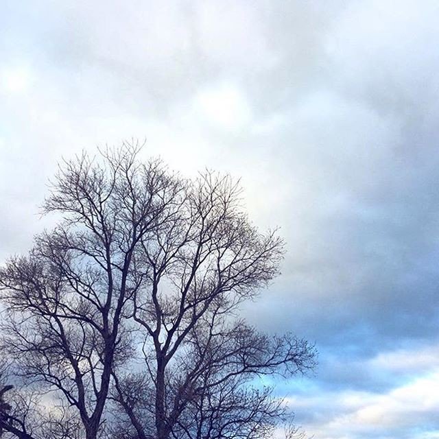 Reposting @thestylewithin:
Haven’t shared a nature photo for a while.....stormy weather but still pretty Perth! .
.
.
.
#clouds #storms #perthlife #perthigers #igperth #cloudspotting #nature #naturephotography #pretty #postitfortheaesthetic #vsco #vscocam #iphoneonly #treescape