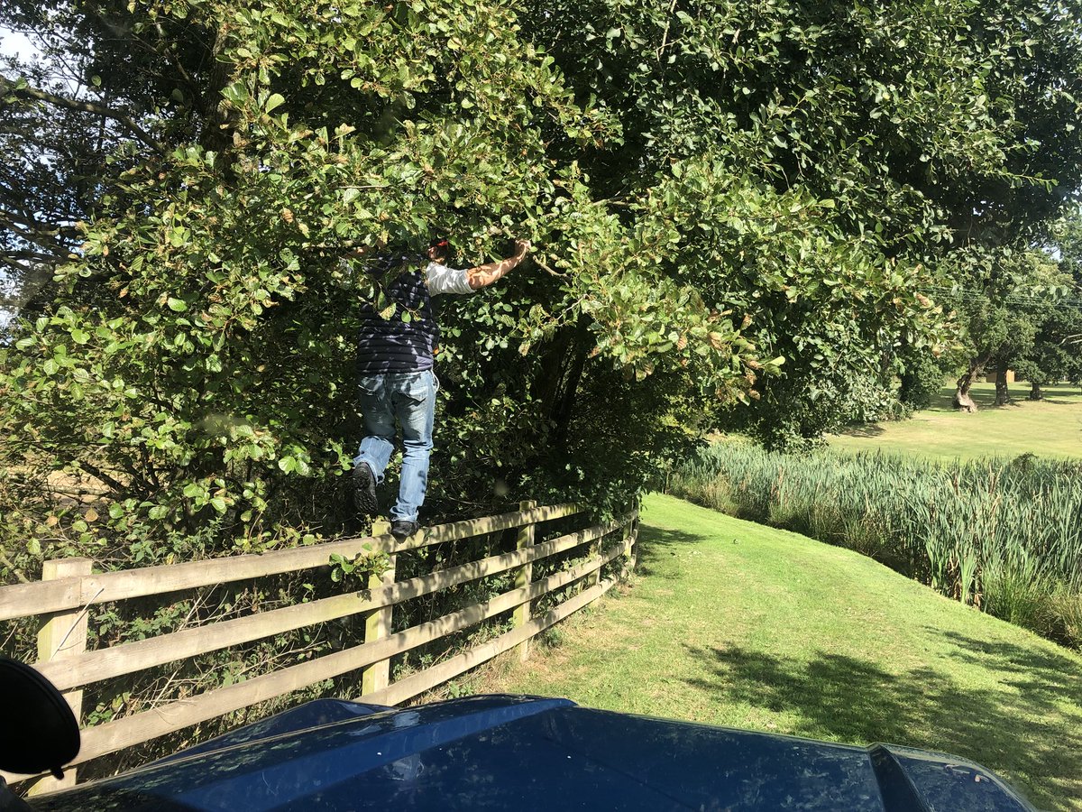 fodinthefield's tweet photo. @AgRobotJon going beyond the call of duty to get the Fodder landy into its wedding home for the weekend.... #fodder #realgrub https://t.co/l32WSTKtWo