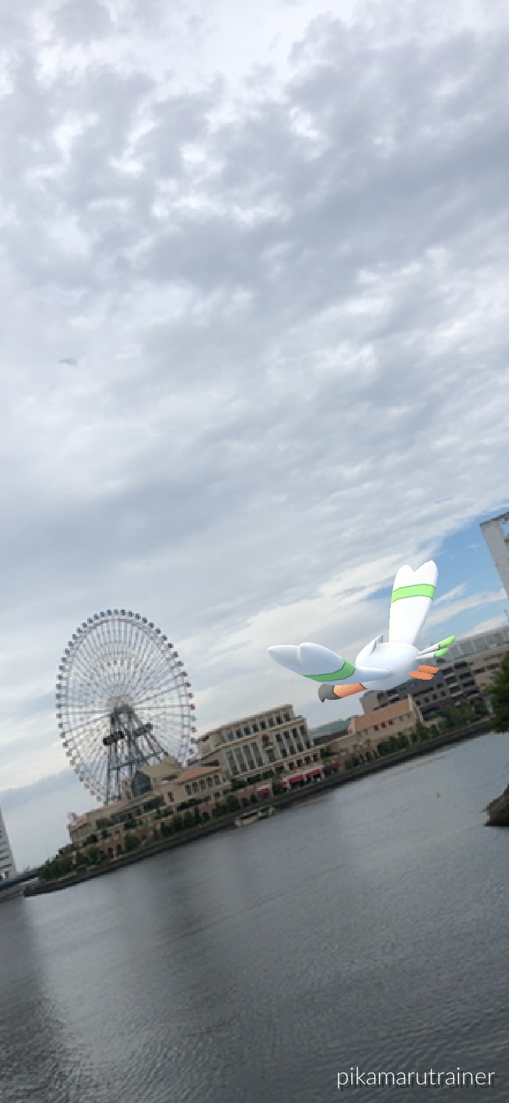 色違いキャモメ Twitter Search Twitter