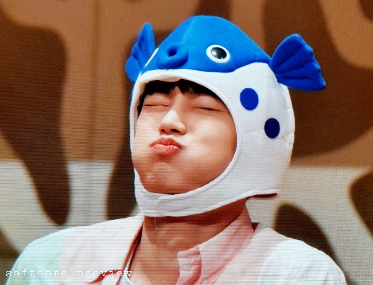softcore9698's tweet photo. 180901 [PRV]심석홀 팬싸. 
용복어🐟 #김용국 https://t.co/w1vpPofc6o