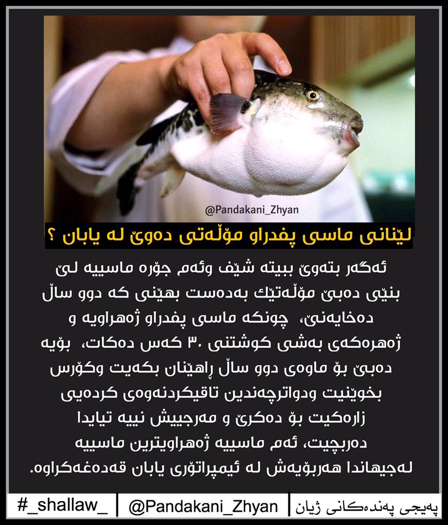 shallaw_95's tweet photo. #pandakani_zhyan #ZANYARI https://t.co/BGlsRlU31U