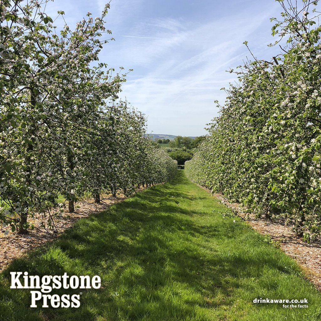 Where the magic happens.