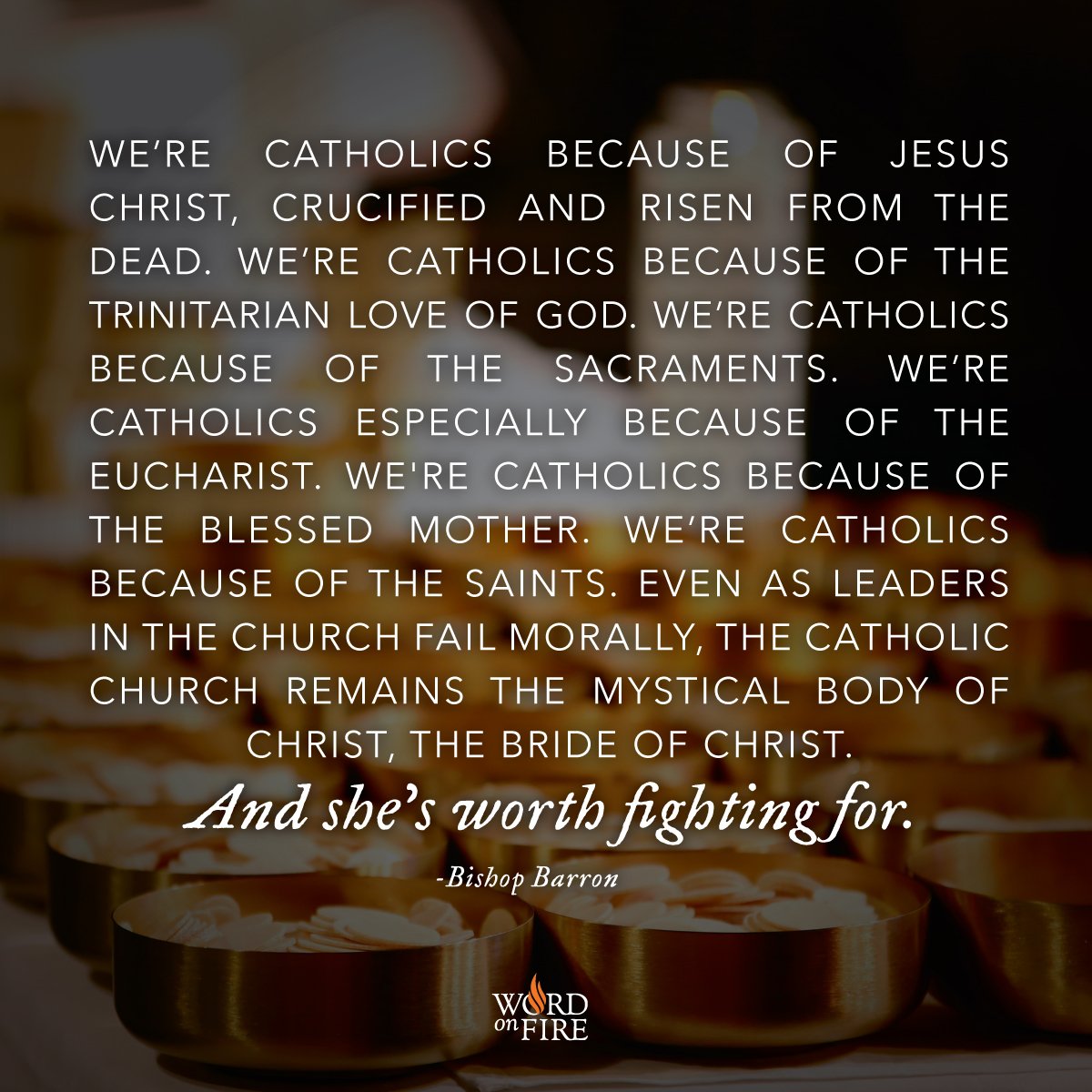 BishopBarron's tweet photo. Friends, I invite you to watch this important message, "Why Remain Catholic? (With So Much Scandal)" >> https://t.co/ZHZKZD0QfT https://t.co/FOZZQPbOc0