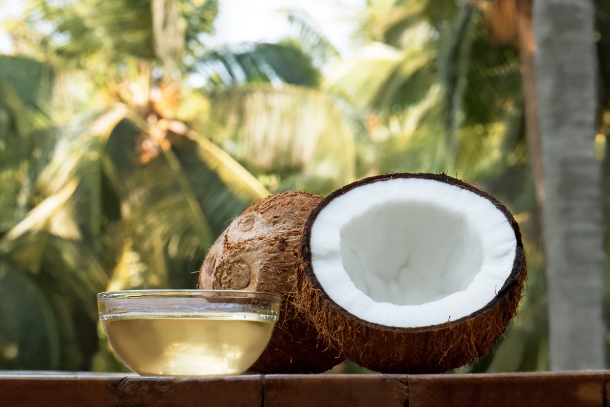 It is difficult here in Kerala to capture a scenic vista without the slant of a coconut tree. Its bountiful crown is omnipresent. The landscape, the cuisine and even the name of the state is indebted to this delightful drupe. #WorldCoconutDay