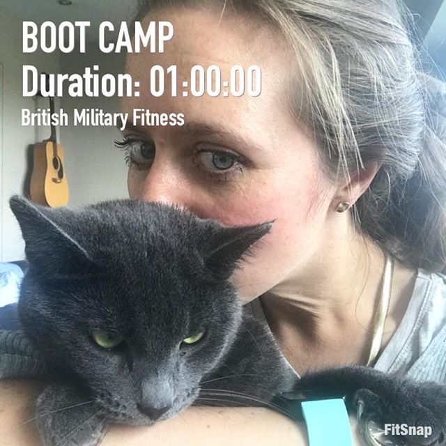 sorryivegot2run's tweet image. Well, Parkrun didn’t happen. But, that’s ok, because #bmf included 5km and was enough to make me feel like I was going to 🤢 anyway.🏃🏻♀️💪💕Here’s an unrelated picture of me and my cat, who is handsome, but hates me 😾 #britishmilitaryfitness #bootc… ift.tt/2ot6gTz