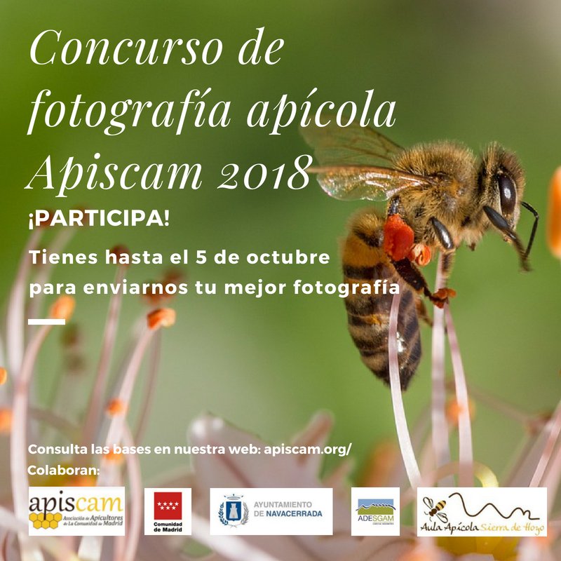 ApiscamMadrid tweet picture