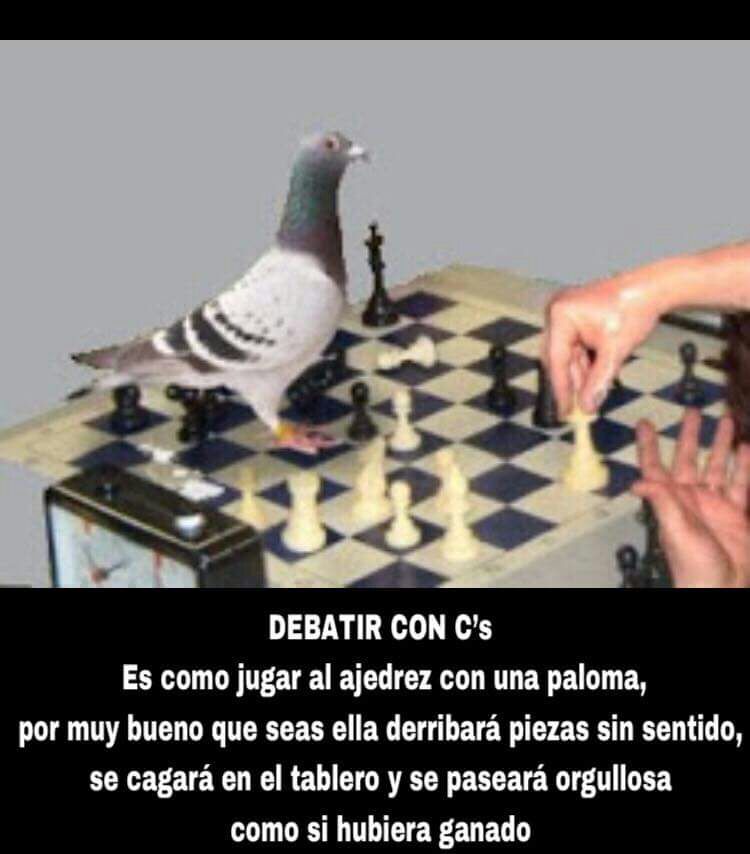 gudaricatala1's tweet photo. #FelizSábado
#AhiLoDejo 
Debatir con ciudadanos es como... 
#AlbertQuitameEste https://t.co/UplJjeX1KK