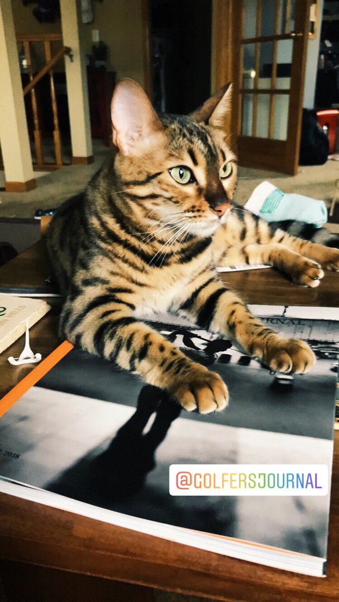 lorentrong's tweet photo. Early Saturday morning read with @GolfersJournal https://t.co/QgSMsziBey