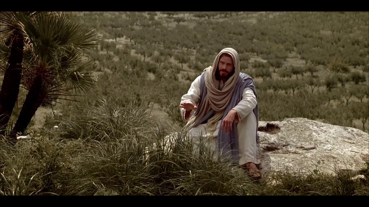 dioctexcoco tweet media