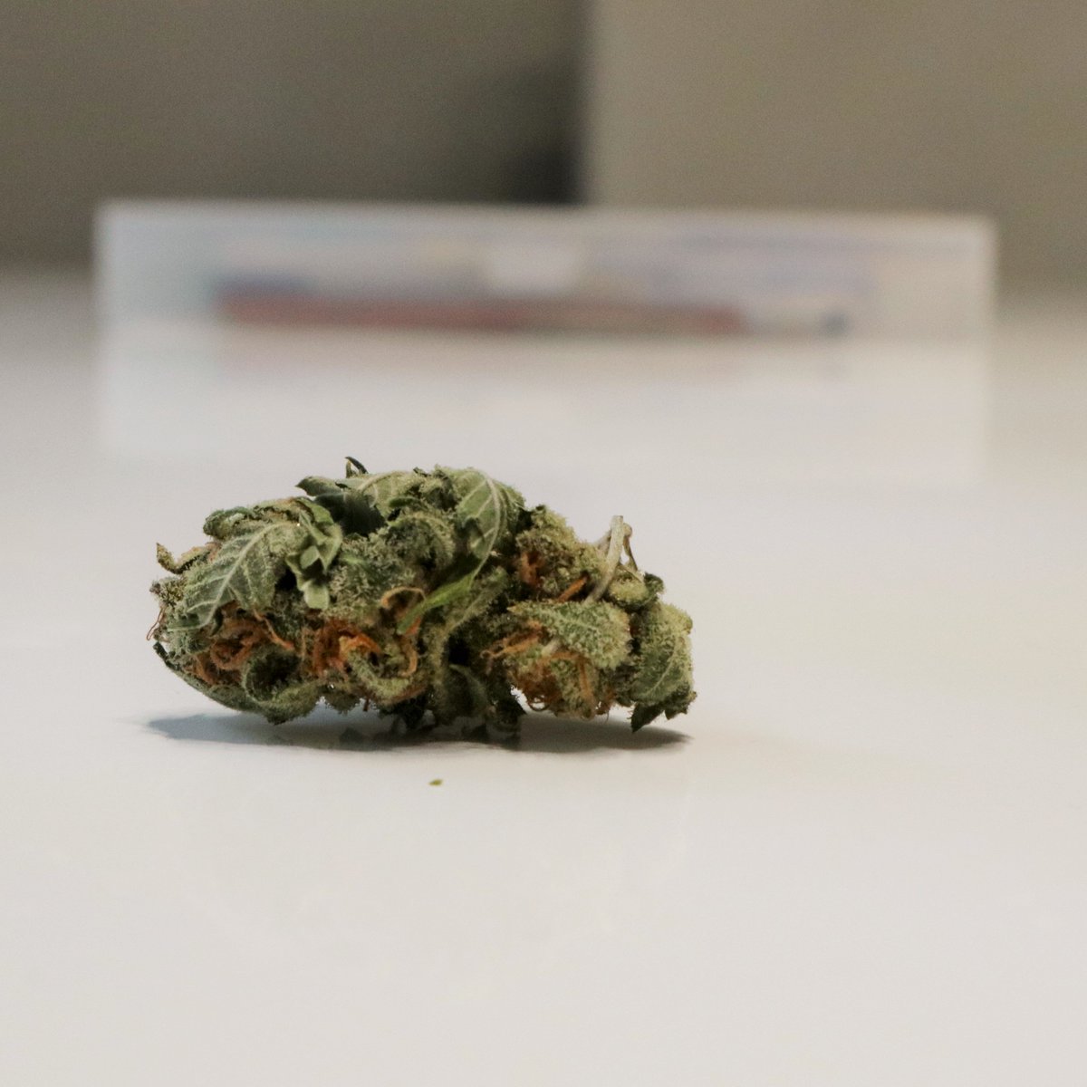 bilvaelemental's tweet photo. Relaxar, sair com a família, cozinhar, fazer um esporte... quantas atividades ficam ainda melhores com um #boost? 
.
.
.
#enjoy #boostyourhigh #terpenos #terpenospuros #bilvaelemental #cannabis #joint #flower #bud #wakeandbake https://t.co/2ewRlmakML