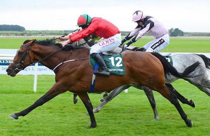 georgestanners's tweet photo. Well done to @GoffsUK sponsored jockey @Hamilton95T winning the Amateur Riders Derby @curraghrace yesterday for @JosephOBrien2 🍾👏🏻👏🏻 https://t.co/LVZrgaTPIw
