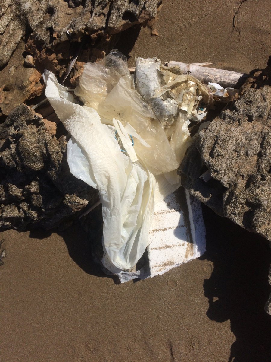 NadiaRamazzini's tweet photo. Ogni giorno della mia vacanza ho raccolto plastica dalle spiagge 😡Perché non lo facciamo tutti? 😉 Basta poco! 👍#IoSonoPlasticFree #IoSonoAmbiente  #IoOdioLaPlastica ⁦@minambienteIT⁩ https://t.co/dRm2wbyGfO