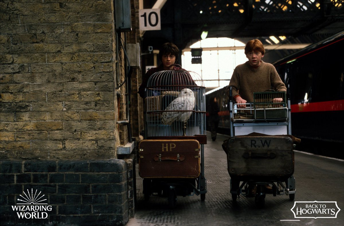 HarryPotterExMi's tweet photo. Oggi celebriamo #BackToHogwarts e vi ricordiamo di agire in fretta! L'ultimo giorno per vedere Harry Potter: The Exhibition a Milano è domenica 9 settembre!

Biglietti su https://t.co/YxDWDscZ5C https://t.co/WXqPBN4vtQ