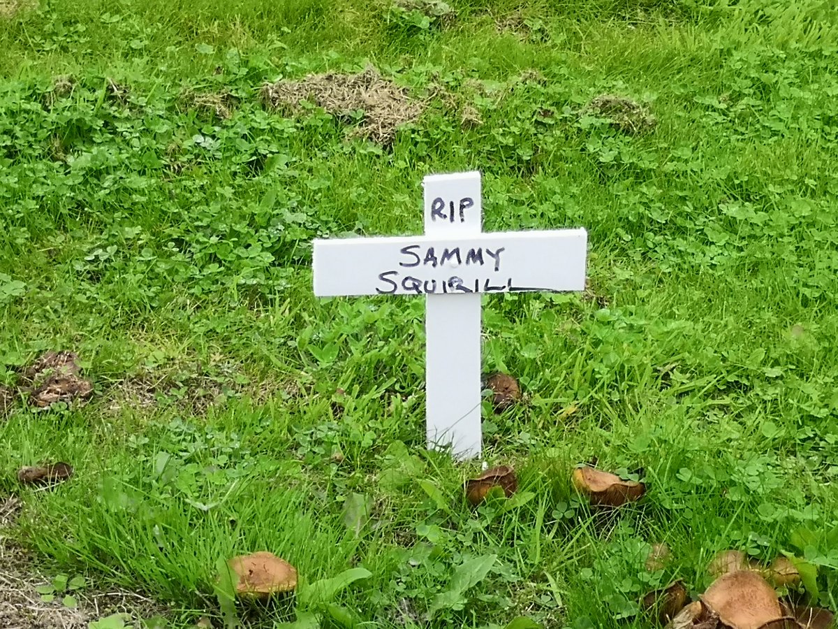 Just saw this on my way to an #SRG meeting at <a href="/RadiantBrighter/">Radiant and Brighter</a>. A sweet Saturday moment. <a href="/WEvolutionUK/">WEvolution</a>