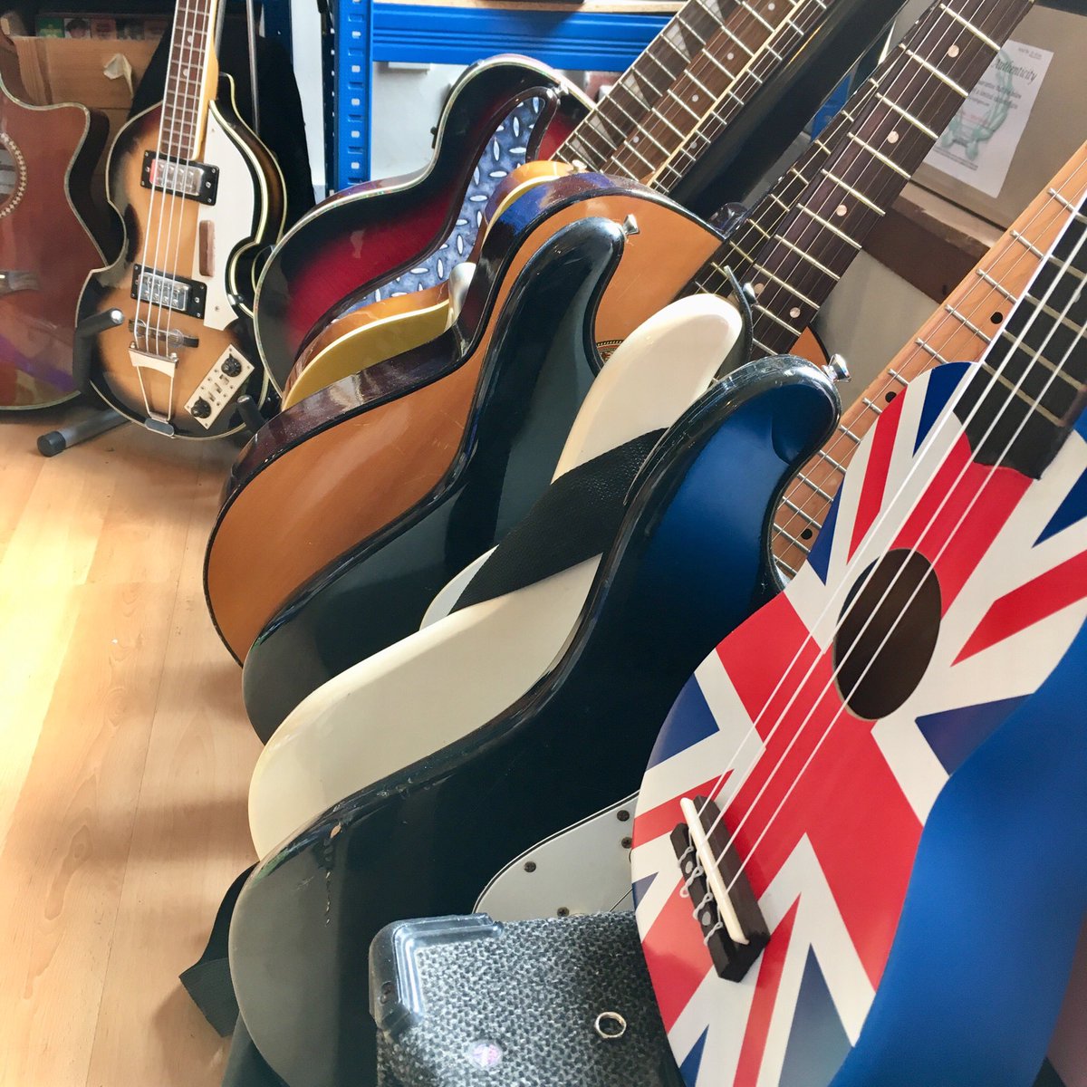 White Lion Walk (walk_lion) Twitter