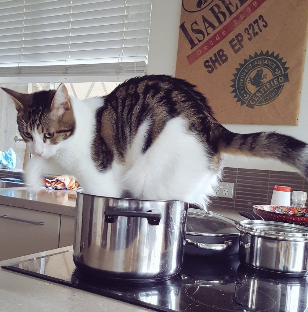 Lieutenant Flinders tweet media