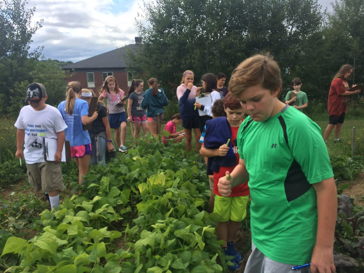 mdcarpenter's tweet photo. #20DayTwitterChallenge 6th grade Ss taste-tested basil, cilantro, tomatoes, peppers &amp; beans from #BFairfax #Farmtoschool #FWSU https://t.co/yGBQwAg367