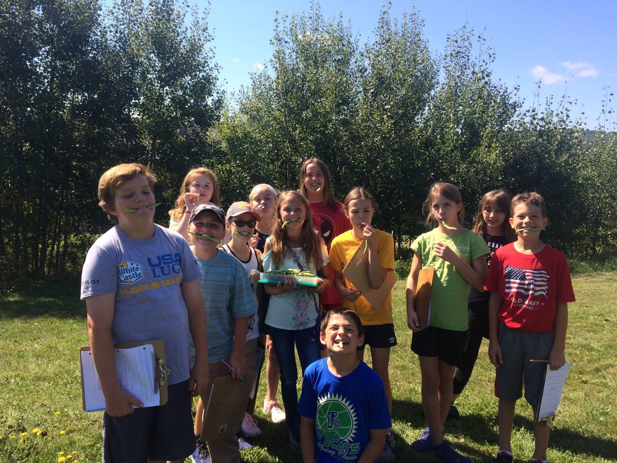 mdcarpenter's tweet photo. #20DayTwitterChallenge 6th grade Ss taste-tested basil, cilantro, tomatoes, peppers &amp; beans from #BFairfax #Farmtoschool #FWSU https://t.co/yGBQwAg367