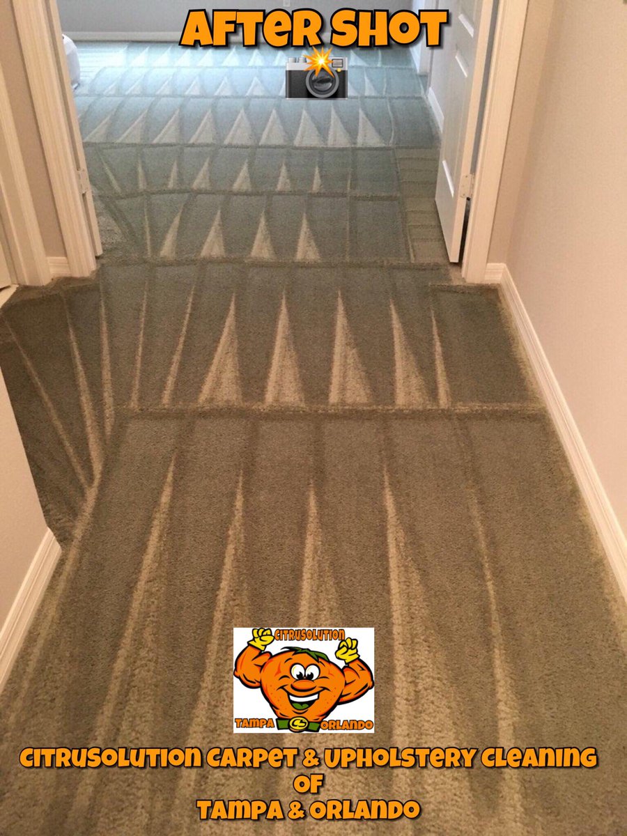 McCitrusolution's tweet image. #CitruSolution #Carpet &amp;amp; #Upholstery #Cleaning Of #Tampa &amp;amp; #Orlando #Florida