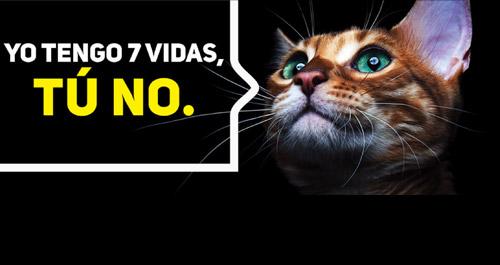 GERCALDASRESCAT's tweet photo. CONDUCE CON PRECAUCIÓN ALGUIEN NOS ESTA ESPERANDO https://t.co/UEa1Pqdk0s