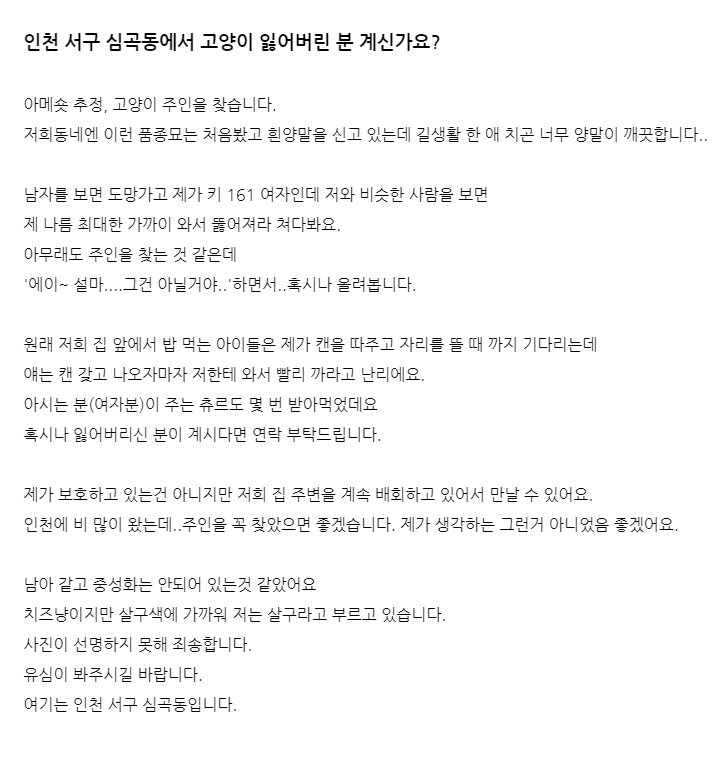 qwer56568's tweet photo. RT🙏) 인천 서구 심곡동에서 고양이 잃어버린 분 계신가요?

비 많이 왔는데..꼭 찾았으면 좋겠습니다
제가 생각하는 그런거 아니길 바랍니다
무늬도 코숏이랑은 다른 듯하고 츄르도 익숙한 듯 바로 압니다
제가 보호중인 건 아니지만 계속 주변을 배회하고 있습니다 (자세한 건 이미지와 아래 타래에) https://t.co/FdhEcBkQVo