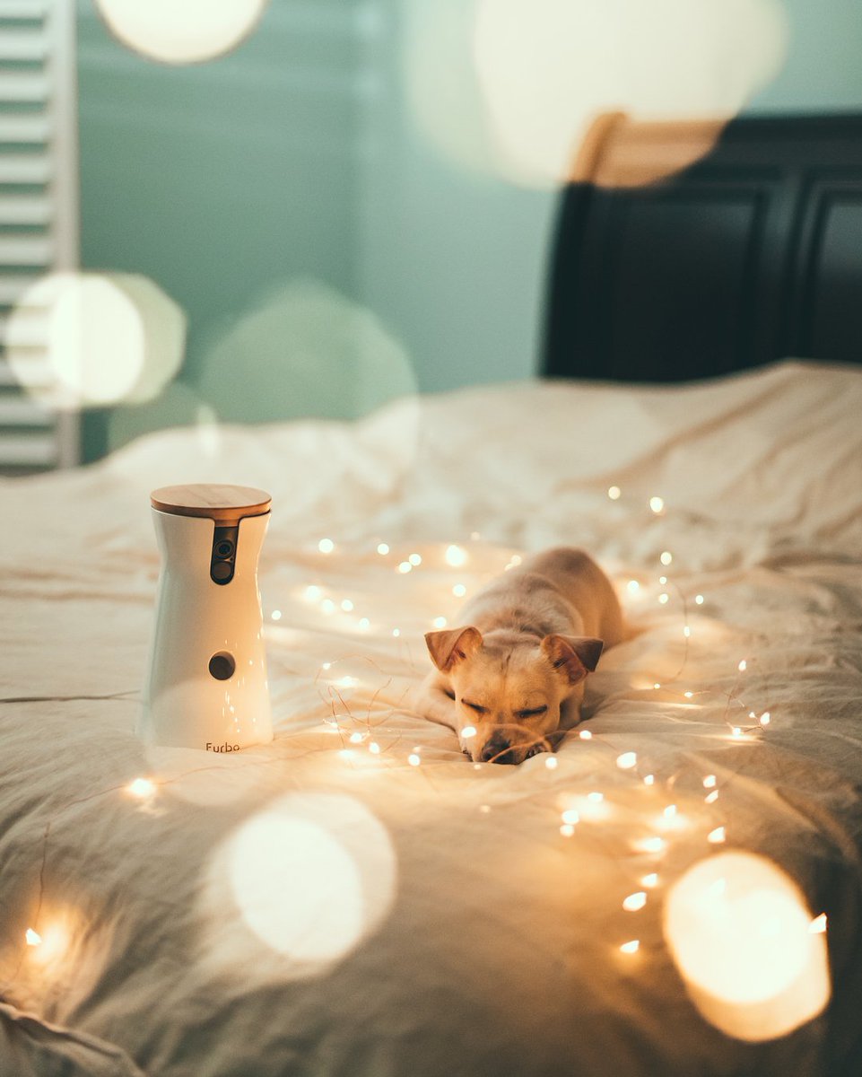 stringlights242's tweet image. 🌈🦄Love, love, love!! Got this thing about fairy lights so put some in your room. More details, Click here
amzn.to/2JcnNrY