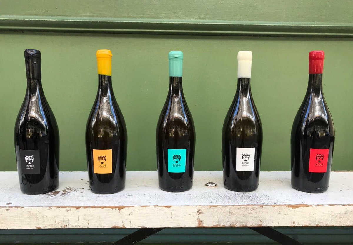 Sicus wines are made exclusively with grapes native to the area, which have adapted to their terroir over generations. They are not suffocated with herbicides or pesticides, and are instead allowed to grow among naturally-occurring wild flora and fauna, with minimum intervention.