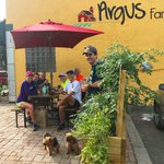 Photo by Argus Farm Stop (@ArgusFarmStop)