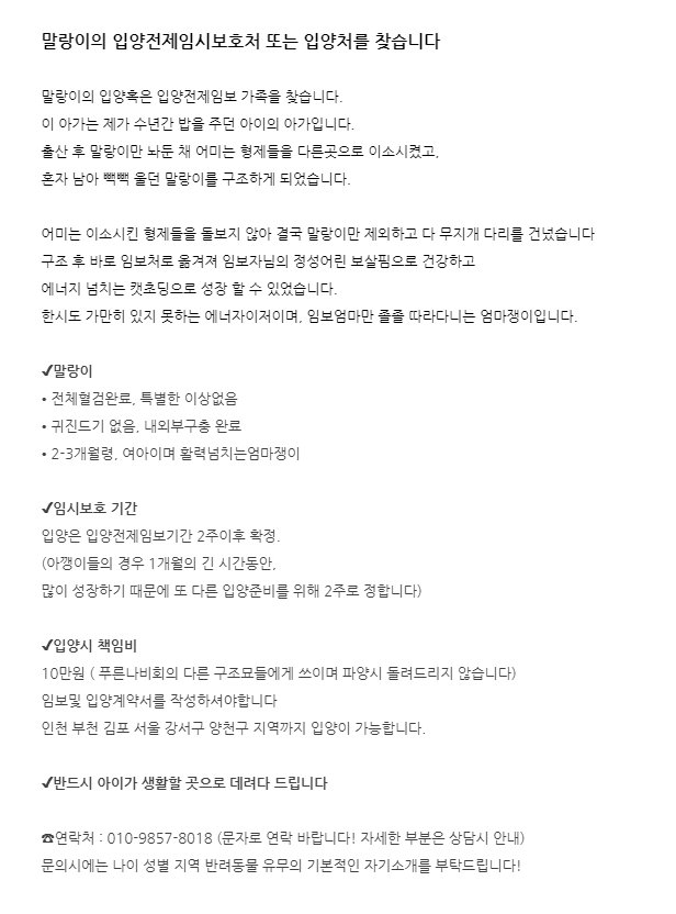 thegreen_cats's tweet photo. RT❤️) 말랑이의 입양전제임보처 또는 입양처를 찾습니다

형제들 사이에서 누락 되어 혼자 빽빽 울던 말랑이입니다
구조 후 임보자님의 정성어린 보살핌으로 건강한 캣초딩으로 성장!
엄청난 에너자이저에, 임보엄마만 졸졸 따라다니는 엄마쟁이입니다
말랑이의 입양처를 찾아요!(자세한 건 이미지) https://t.co/yewGzHK2mU