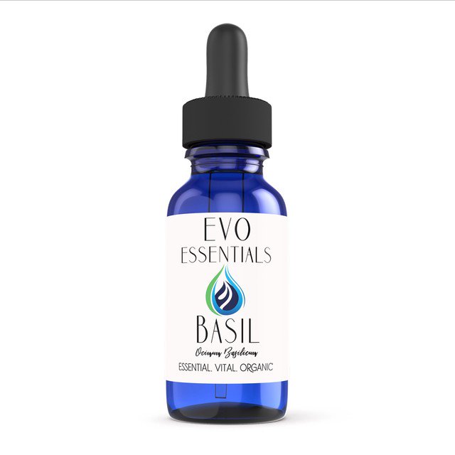 evoessentials's tweet photo. Basil Sweet (15mL) | Pure & Therapeutic Grade | GCMS Tested https://t.co/fKmAxoXAbj #essentialoils #aromatherapy #gcmstested #therapeuticgrade #nongmo #organic #essentialoil https://t.co/WxIBAVcrV7