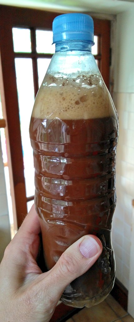 Fair old bit of fermentation in this kvas, bottled this morning! <a href="/BreadMatters/">Andrew Whitley</a>