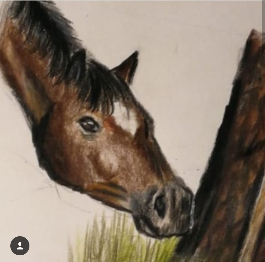 ...das gerne machen würde. 
Im Moment schreiben wir gerade ein #Bilderbuch für #Erwachsene und #Kinder. Es fasst die #zusammen und erklärt wie diese #Projekte begleitet werden. Das Buch heißt ,,Wenn das Pferd klettern lernt " Es erscheint etwa am 30.September 2018 #Bildung