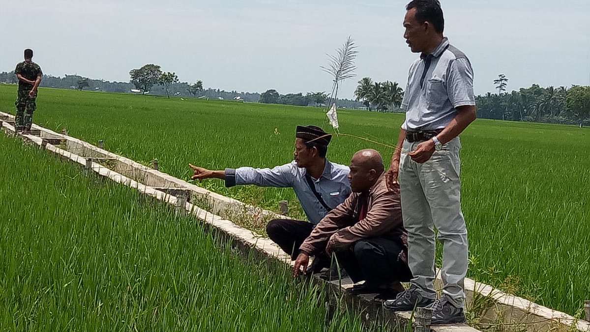 thlpoptaceh's tweet image. Kapanpun dimanapuan akan terus mengawal.
Opt terkendali
Lingkungan lestari
@ditlin_tp 
@distan_tph_aceh 
@THLPOPTNASIONAL 
#SalamPerlintan