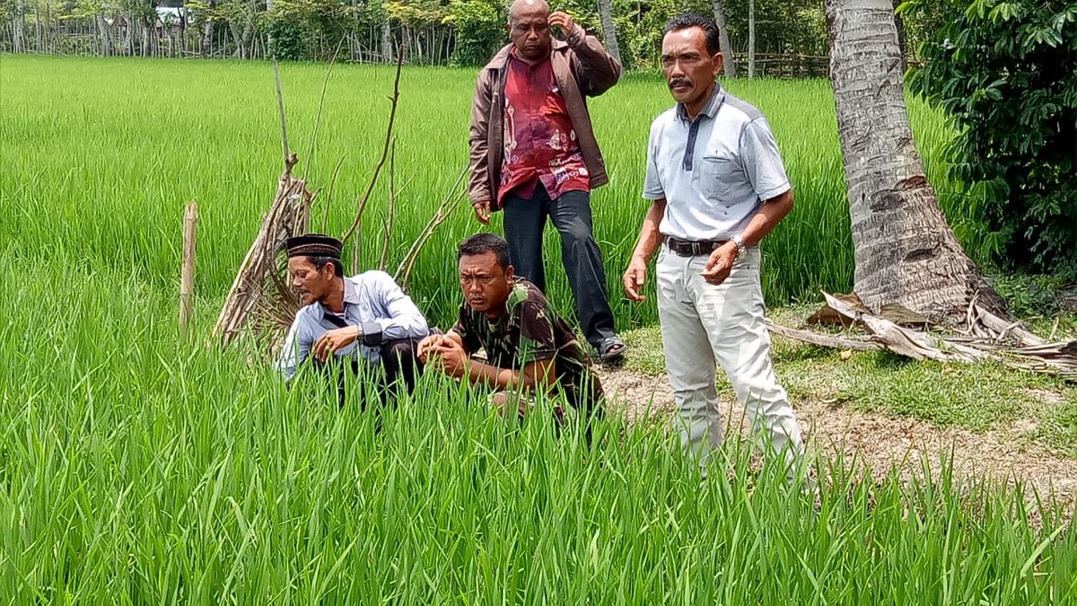 thlpoptaceh's tweet image. Kapanpun dimanapuan akan terus mengawal.
Opt terkendali
Lingkungan lestari
@ditlin_tp 
@distan_tph_aceh 
@THLPOPTNASIONAL 
#SalamPerlintan