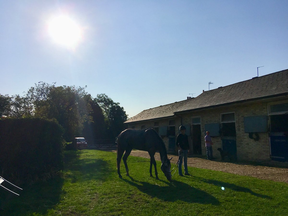 JohnWathenBerry's tweet photo. Theoretically the start of autumn, but itโs been a lovely day @NewmarketGallop. Hope this glorious weather lasts a while #WhiteValiant #SweetCharisma #DasKapital https://t.co/lFU3khrajN