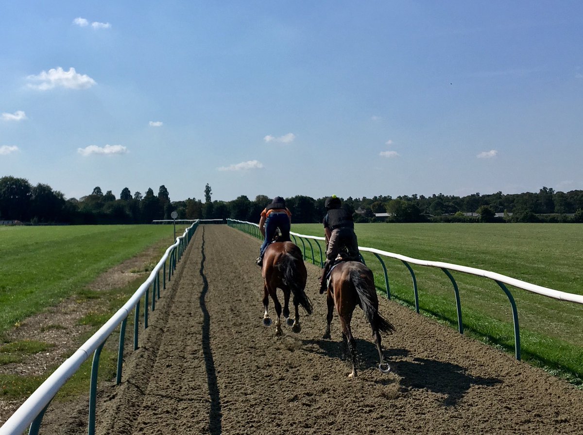 JohnWathenBerry's tweet photo. Theoretically the start of autumn, but itโs been a lovely day @NewmarketGallop. Hope this glorious weather lasts a while #WhiteValiant #SweetCharisma #DasKapital https://t.co/lFU3khrajN
