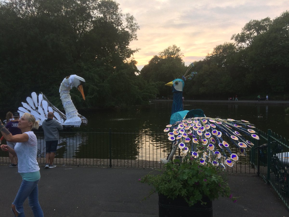 fungalhyphae's tweet photo. Manchester Festival at Plattfields Park. Swans fed well here https://t.co/oyl8bLuLGP