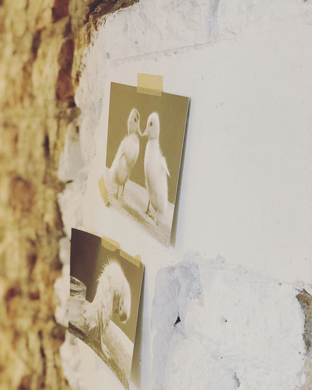 Today we strolled around in our beloved city! And we found some new cool spots. We tested some winebars with lovely apetizers: <a href="/verdemarrone/">monfrero</a> and @talud9. Tonight we will go out and dine at @restaurantlepetitheron. But we are so happy to know we are also … ift.tt/2PXsCJj