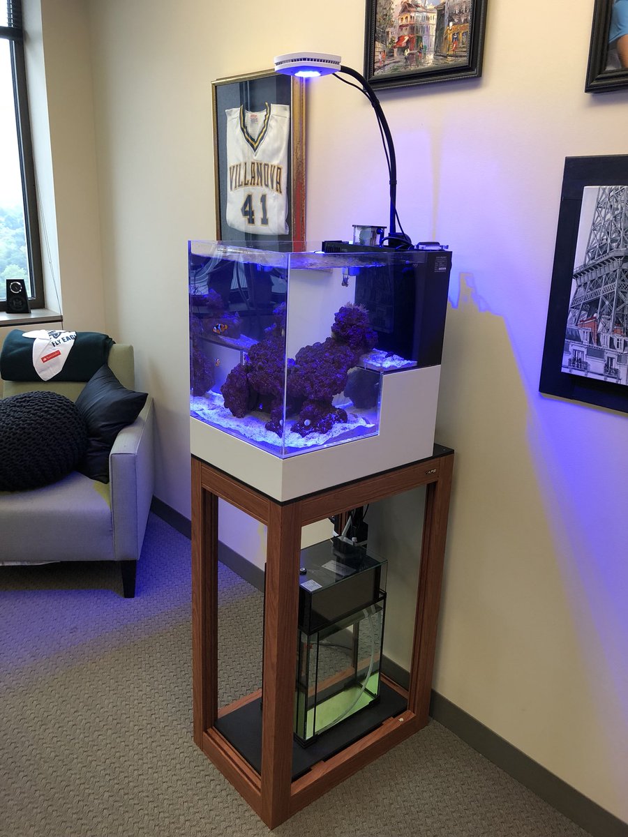 ArmcoAquatics's tweet photo. Executive office missing something? How about an @Info_IM nano aquarium installed and serviced by Armco?
____________________
#armcoaquatics #armco #aquarium #innovativemarine #im #reeftank #aquariumservice #maintenance #aquatics #nano #nanoreef #saltwaterfishtank https://t.co/nGGFZHf2RC