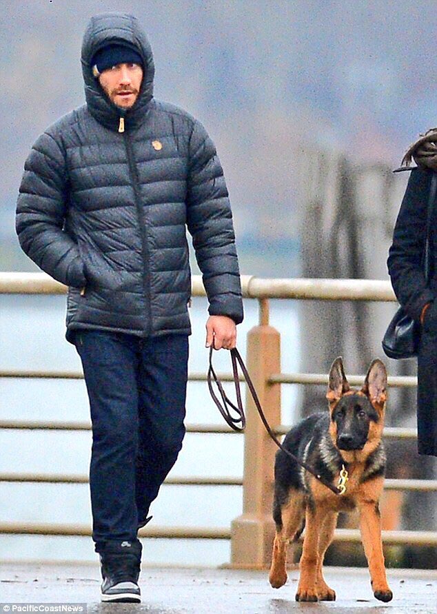 jake walking leo appreciation tweet
