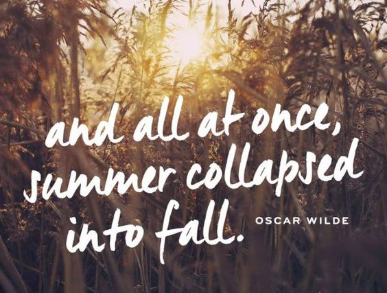 UrbanGypsyUK's tweet photo. And all at once, summer collapsed into fall - #OscarWilde

Wishing you all a wonderfully colourful &amp; a breathtakingly beautiful #September x

#September1st #SeptemberWish #SeptemberTweets #SeptemberToRemember https://t.co/KiHtkhf2fv